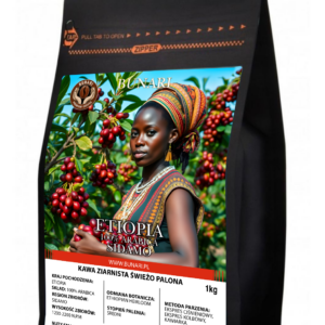 ETIOPIA - Region Sidamo 100% Arabica